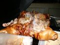 Pig Roast 2017