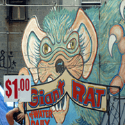 San Genaro Feast 2011