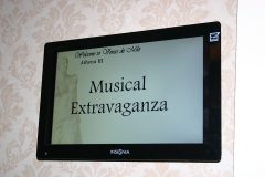 The Music Extravaganza